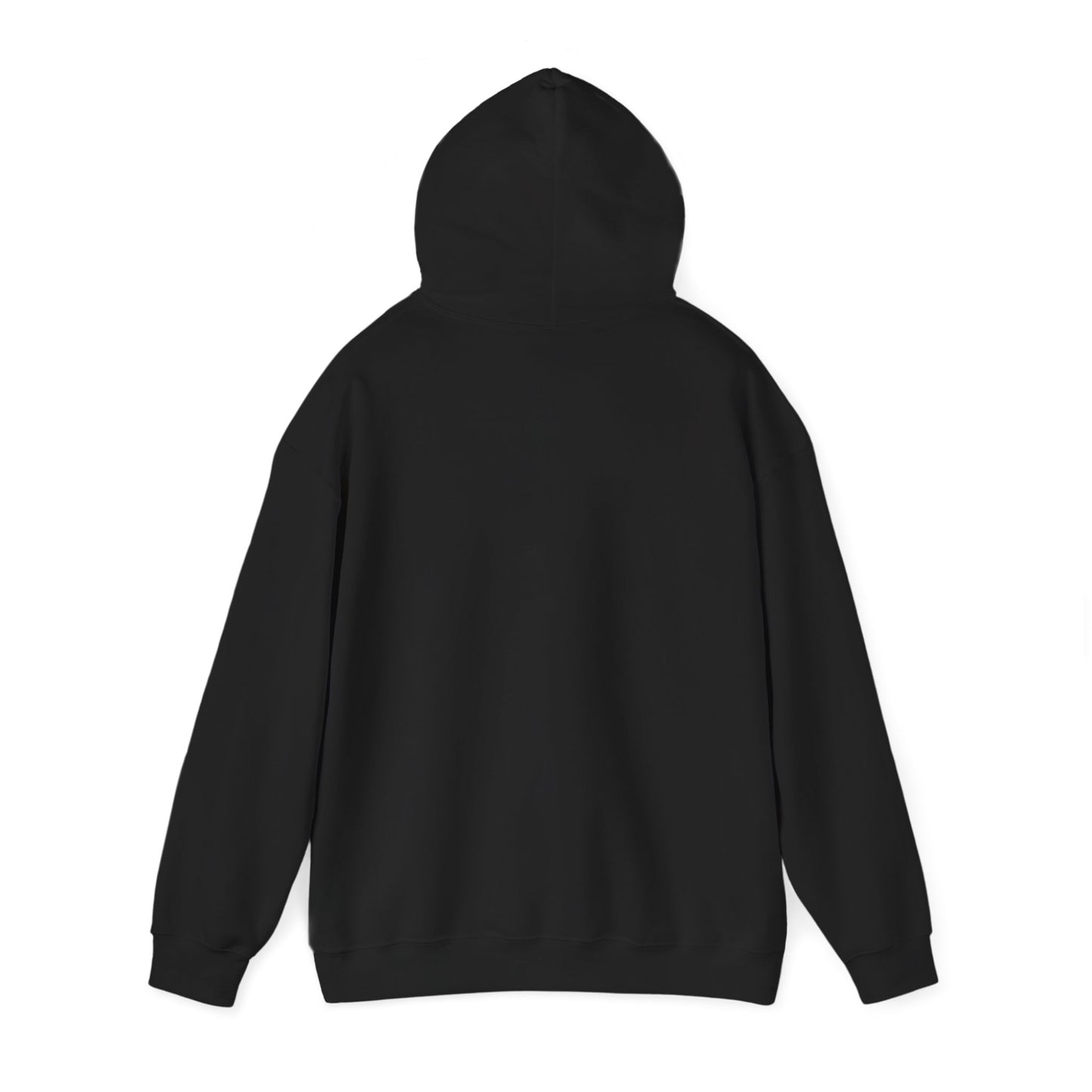 Lion of the Tribe of Judah Hoodie - Christian Faith Sweatshirt