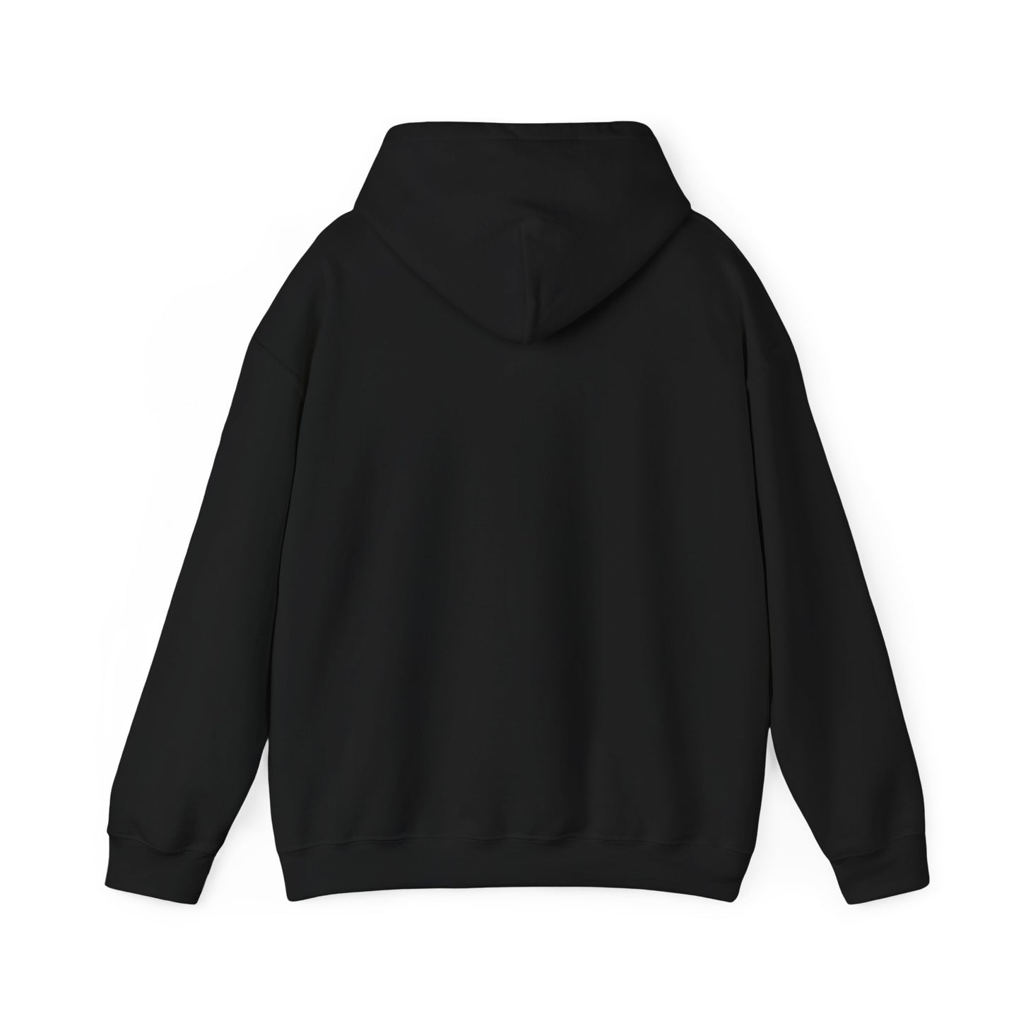 Lion of the Tribe of Judah Hoodie - Christian Faith Sweatshirt